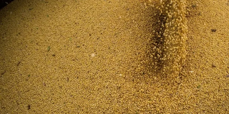 Grãos abrem a semana em alta na bolsa de Chicago