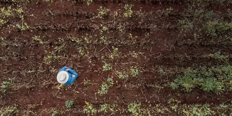 Seca abre temporada de ‘caça às chuvas’ no Centro-Oeste