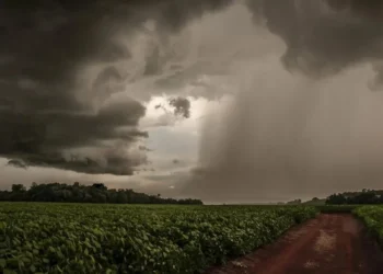 Quando vai chover? Veja a previsão para o período de plantio da soja