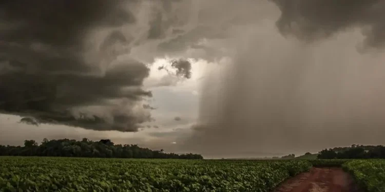 Quando vai chover? Veja a previsão para o período de plantio da soja