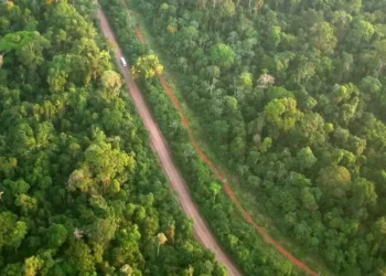 CMN mudará resolução sobre questões socioambientais ligadas ao crédito rural