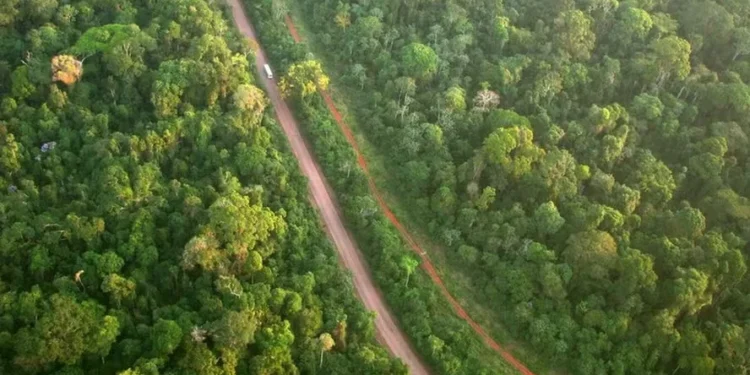 CMN mudará resolução sobre questões socioambientais ligadas ao crédito rural