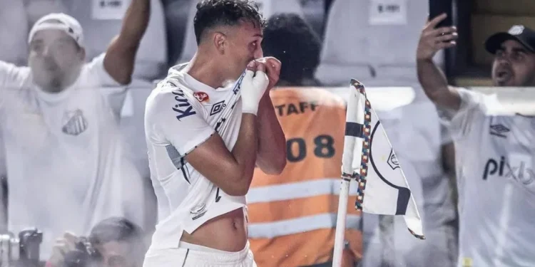 Vai subir? Veja as chances do Santos de voltar à Série A