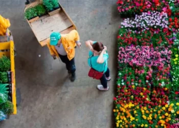 Estimativa da Ceagesp é que sejam vendidas 251 toneladas de flores para o Dia de Finados — Foto: CEAGESP/ Divulgação