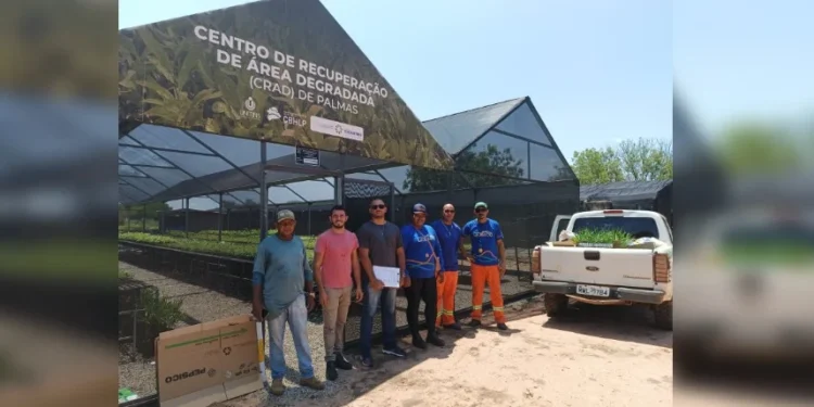Secretaria Municipal de Meio Ambiente e Saneamento de Lajeado realiza coleta de mudas em Palmas; entenda mais sobre o trabalho de plantio e doação de mudas