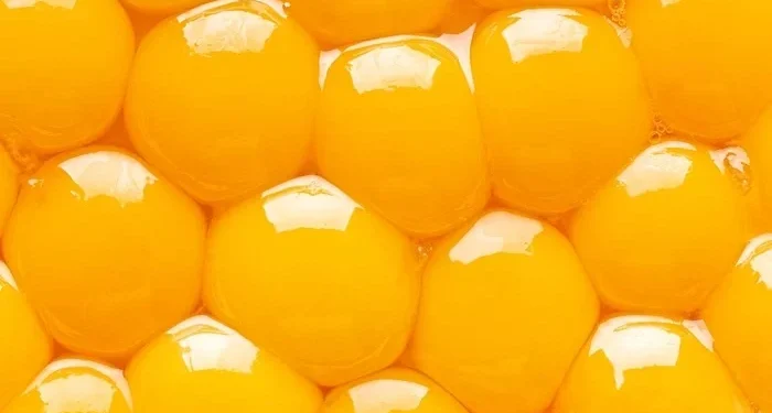 PEA: substância extraída do ovo é promissora no tratamento de dor