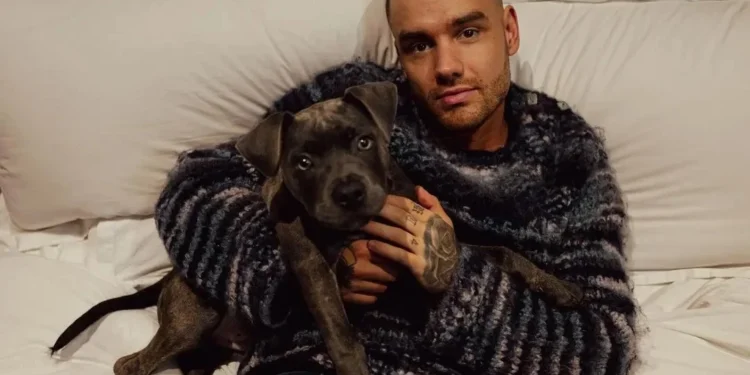 Liam namorou a modelo britânica Sophia Smith de 2013 à 2015. • Instagram/Liam Payne