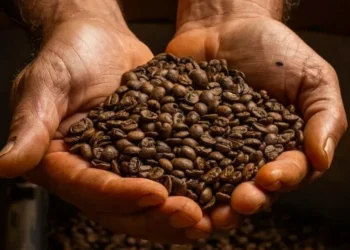 Volatilidade do café deve continuar porque as exportações brasileiras estão fortes — Foto: Wenderson Araujo/CNA