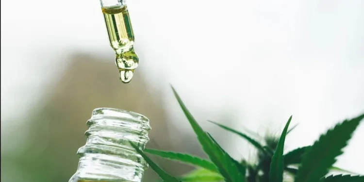 Anvisa autoriza medicamentos à base de Cannabis para animais