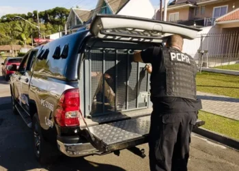 Homem com HIV é preso por abusar de pacientes inconscientes no Paraná • Reprodução/PC-PR