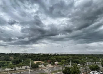 Crédito: Divulgação/Energisa