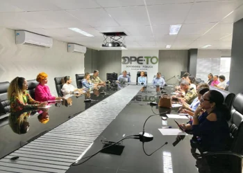 Reunião de lançamento aconteceu na sala de reuniões da Defensoria Pública do Estado do Tocantins