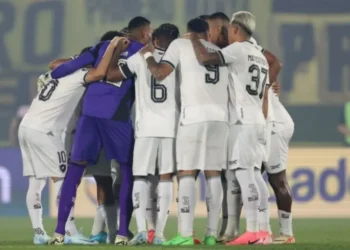 Botafogo garantiu vaga inédita para a final da Libertadores • Vítor Silva/Botafogo