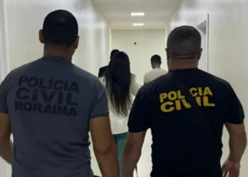 Mulher foi presa após falsificar documentos para simular gravidez e se internar em maternidade • Divulgação/PCRR