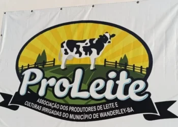 Visita a laticínios em Wanderley - Bahia