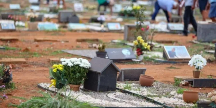 Cemitérios passam por melhorias para receber visitantes no Dia de Finados