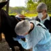 Adapec colabora com LACEN-TO para garantir meios de cultura para testes de meningite e coqueluche
