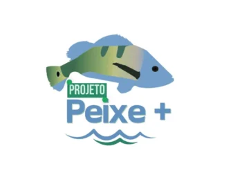 Projeto Peixe + tem como foco principal a implementação de um programa de educação ambiental nas escolas do Tocantins - Foto: Naturatins/Governo do Tocantins