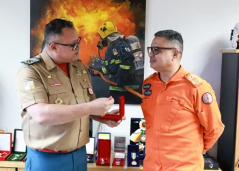 Coronel Ornelas entrega Comenda ao coronel Sandro, comandante do CBMDF