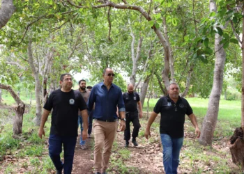 Visita da Senappen fortalece ainda mais o Sistema Penal tocantinense - Créditos: Márcia Rosa/Governo do Tocantins