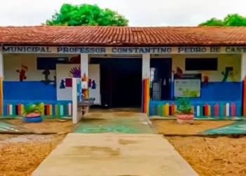 Escola Municipal  Professor Constantino Pedro de Castro