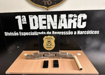 Nove tabletes correspondente a 5kg de maconha foram apreendidos pela DENARC - Palmas - Foto: Alessandro Ferreira/Agência Tocantins