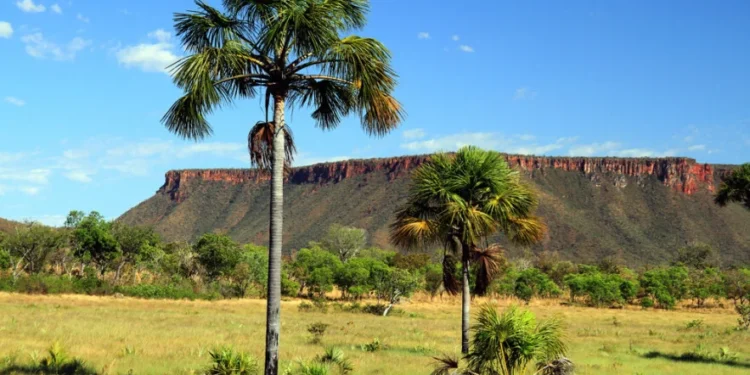 9º Boletim Climático e Riscos de Incêndio passa a contar com dados da Qualidade do Ar