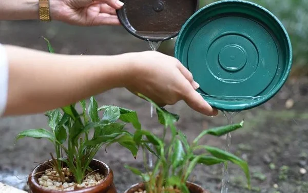 BRK alerta para cuidados no combate à dengue durante o período chuvoso