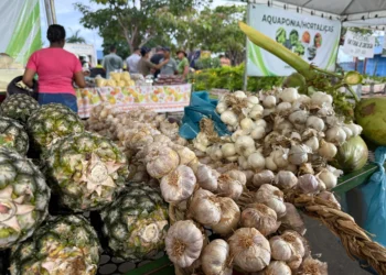 Diversidade de produtos ofertados na feira da colheita em Pindorama