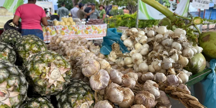 Diversidade de produtos ofertados na feira da colheita em Pindorama