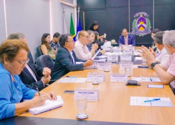 Conselho de Desenvolvimento Econômico do Tocantins (CDE) aprovou a concessão de incentivos fiscais a três empresas que irão se instalar no estado - Foto: Matheus Alcantara/Governo do Tocantins