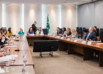 O Governo do Tocantins, por meio da Secretaria de Indústria, Comércio e Serviços (Sics), participou da segunda reunião ordinária do Comitê Nacional para a Promoção da Cultura Exportadora (CNPCE). - Foto: Vinicius Santa Rosa/Governo do Tocantins
