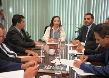 Reunião de alinhamento para recurso que será destinado a fortalecer o sistema de saúde;