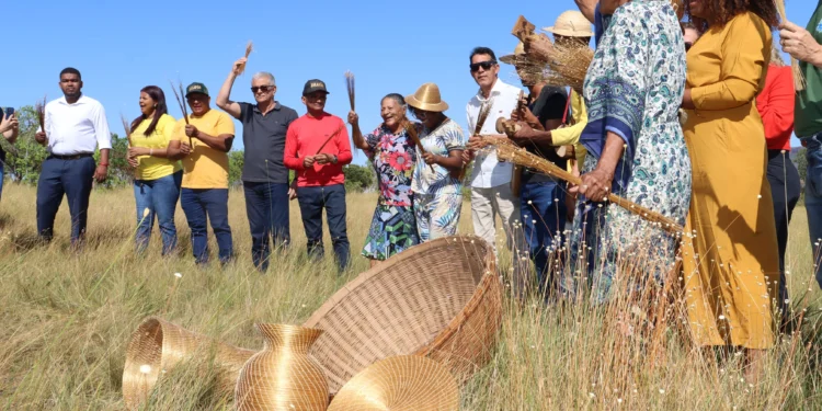 Tocantins, um Estado com grande potencial para o Afroturismo