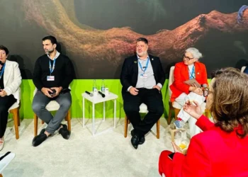 Marli Santos destacou o trabalho feito para construir um arcabouço jurídico e financeiro que permita ao estado gerenciar os créditos de carbono. Cristiane Peres/Governo do Tocantins