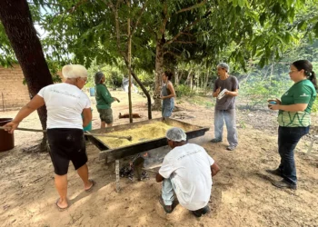 Farinhada de Zé Mininim é realizada anualmente em sua propriedade