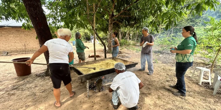 Naturatins fomenta cadeia produtiva da farinha de jatobá na APA do Jalapão