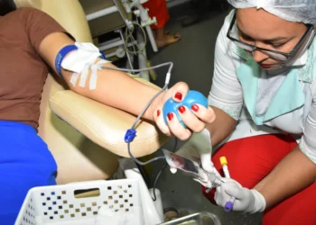 A programação em homenagem aos doadores voluntários de sangue ocorrerá entre os dias 24 a 29 de novembro. Dayana Nascimento - Governo do Tocantins