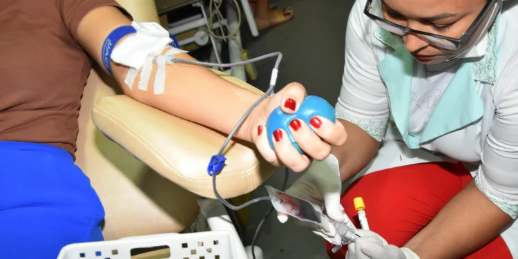 A programação em homenagem aos doadores voluntários de sangue ocorrerá entre os dias 24 a 29 de novembro. Dayana Nascimento - Governo do Tocantins