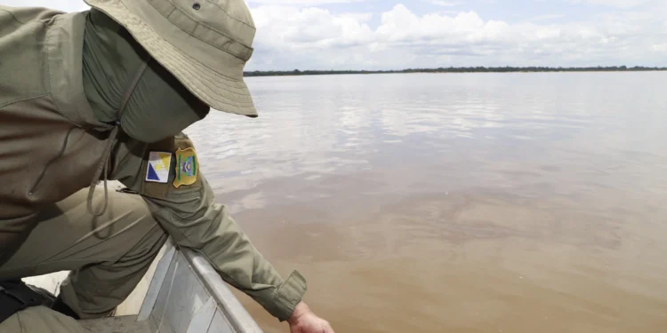 Período de defeso protege a reprodução dos peixes