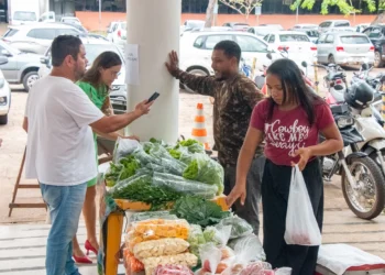 Feira dos Servidores é parte de uma ação de integração e valorização dos servidores e está vinculada a Agenda de Governança Integrada para Resultados. Foto – Carlessandro Souza.