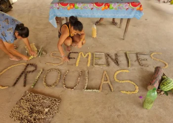 Cooperativa dos Empreendedores Sociais da Região Norte (Coopesren) foi contemplada com o Prêmio Periferia Viva 2024, na categoria "Iniciativas Populares"; solenidade acontece no dia 28, em Brasília - Foto: Divulgação