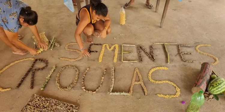 Cooperativa tocantinense é destaque no Prêmio Periferia Viva 2024 com projeto de revitalização cultural e ambiental