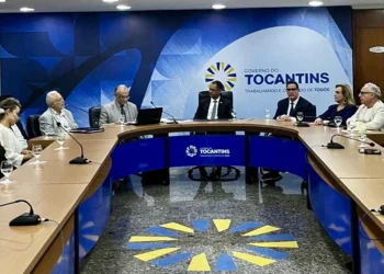 Instituto foi oficializado na quinta-feira, 21, durante uma cerimônia no Palácio Araguaia José Wilson Siqueira Campos, em Palmas - Divulgação