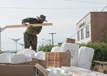 Carga foi retida sem a documentação exigida e em condições inadequadas - Foto: Naturatins/Governo do Tocantins