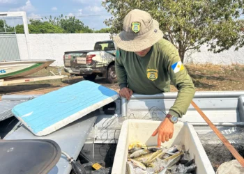 Durante a Operação Piracema foram apreendidos 106 quilos de pescado - Andréa Marques/Governo do Tocantins