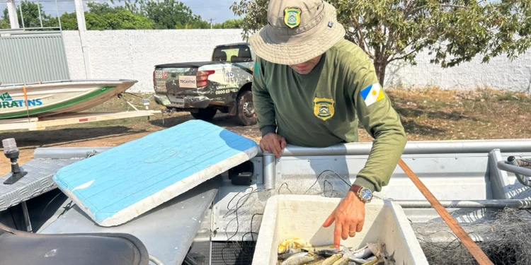 Na Operação Piracema, Governo do Tocantins intensifica a fiscalização para proteger a fauna aquática no Estado