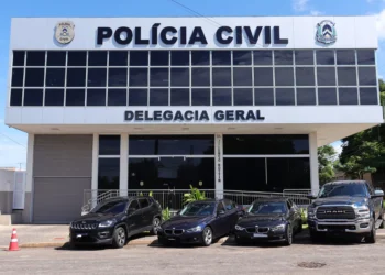A apreensão dos automóveis, avaliados em mais de R$1 milhão, visa desarticular organizações criminosas envolvidas no tráfico de drogas e lavagem de dinheiro - Foto: Luiz de Castro/Governo do Tocantins