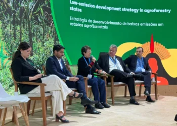 Marli Santos pontuou que o sucesso das estratégias depende de pactos efetivos entre os setores público e privado_Foto Divulgação