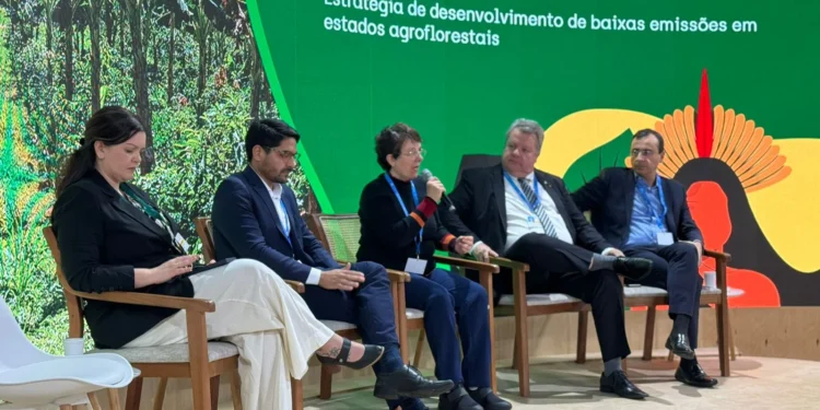 COP 29: Tocantins aposta no mercado de carbono e ações de REDD+